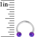 16G 5/16 Metallic Purple Horseshoe Circular Barbell