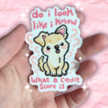 "Do I Look Like I Know...  What a Credit Score Is???" Chihuahua ~ Sticker