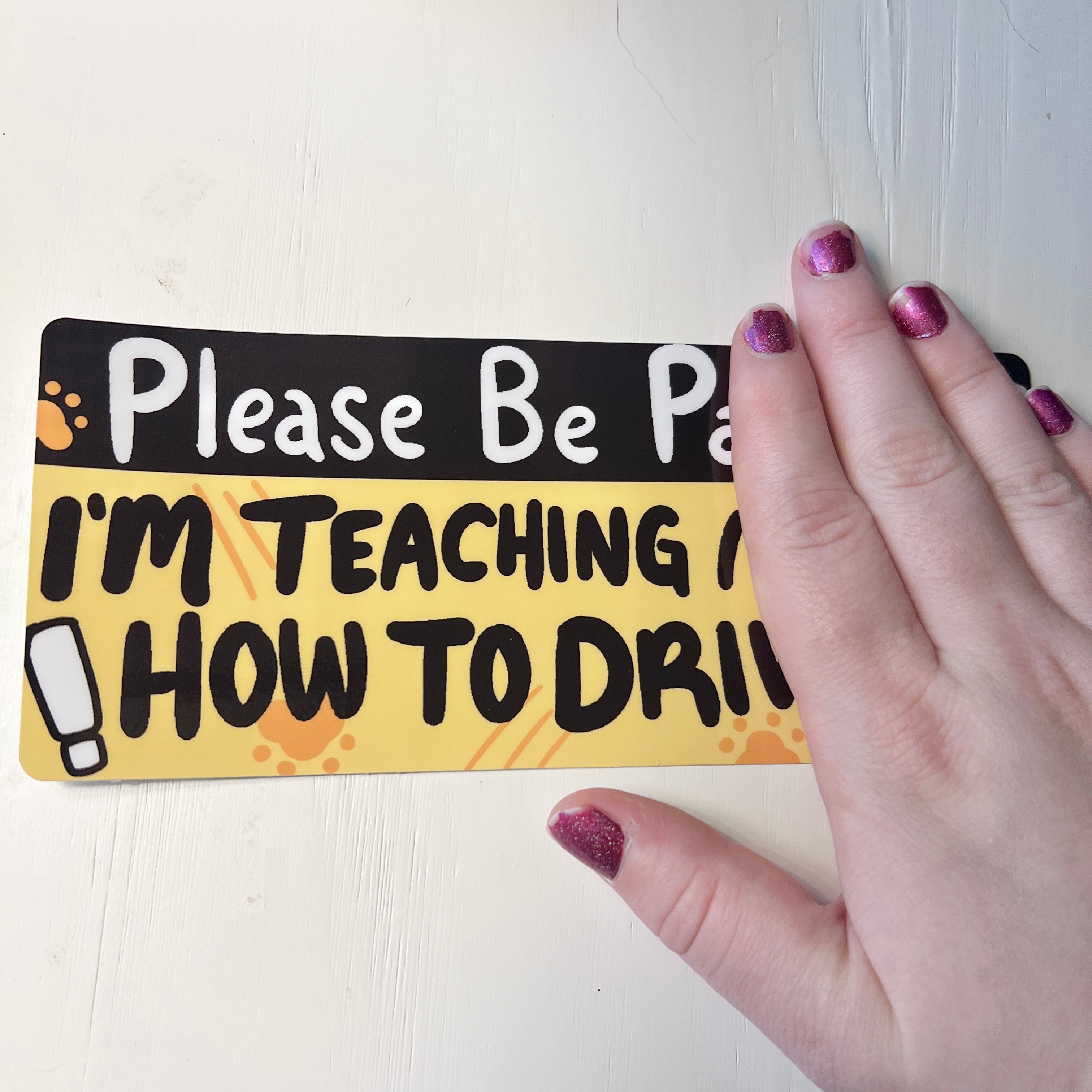 I'm Teaching My Cat How to Drive ~ Bumper Sticker