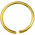20G 5/16 Gold IP Annealed Steel Seamless Circular Ring