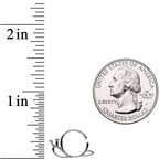 18G The Travelling Snail Closure Ring