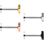 16G 5/16 Multicolor Internally Threaded Kitty Cat Labret Set of 4