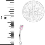 16G 3/8 Pink Butterfly Wing Curved Eyebrow Ring