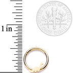 16G 3/8 Gold Tone Tiny Dinosaur Hinged Segment Ring