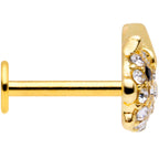 16G 5/16 Clear Black Gem Gold Tone Flying Pig Labret Tragus