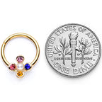 16G 3/8 Pink Blue Gem Gold Tone Hinged Segment Ring