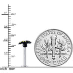 16G 5/16 Black Yellow Spooky Spider Halloween Labret Monroe Tragus