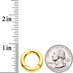 6G 1/2 Gold Tone PVD Steel Hinged Segment Ring