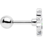 16G 1/4 Black White Hungry Panda Bear Cartilage Tragus Earring