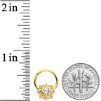 16G 3/8 Clear CZ Gem Gold Tone Regal Seal Hinged Segment Ring