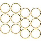 20G 5/16 Gold Tone Anodized Seamless Circular Ring Set of 12