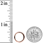 16G 3/8 Clear CZ Gem Rose Gold Tone Subtle Hinged Segment Ring