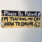 I'm Teaching My Cat How to Drive ~ Bumper Sticker