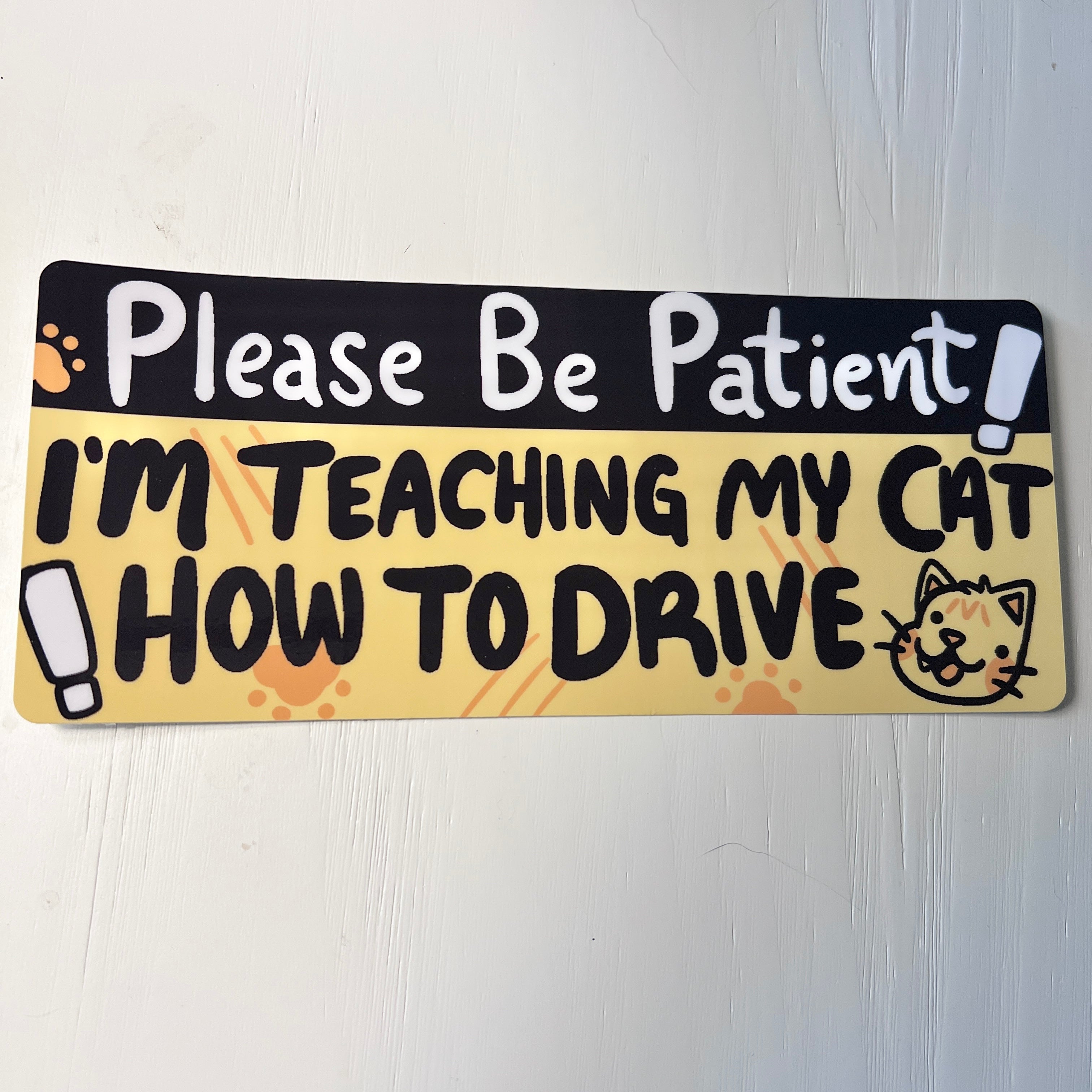 I'm Teaching My Cat How to Drive ~ Bumper Sticker