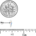 16G 1/4 Geologist Prize Cartilage Tragus