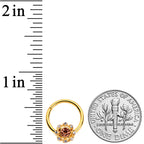 16G 3/8 Clear Pink CZ Gem Gold Tone Sunburst Hinged Segment Ring