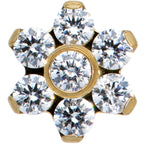 16G 1/4 Clear CZ Gem Gold Tone G23 Titanium Flower Labret Tragus