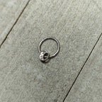 16G 3/8 Iridescent Crescent Moon Hinged Segment Ring