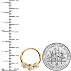 16G 3/8 Gold Tone White Texture Daisy Flower Hinged Segment Ring