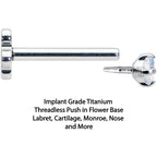 18G 5/16 Aurora CZ G23 Titanium Threadless Flower Labret Tragus
