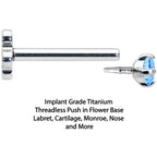 18G 5/16 Blue CZ Gem G23 Titanium Threadless Flower Labret Tragus