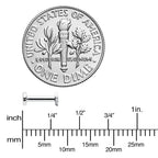 16G 1/4 G23 Titanium Super Star Internal Thread Labret Monroe Tragus