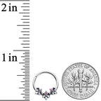 16G 3/8 Pink White Abstract Leaf Hinged Segment Ring