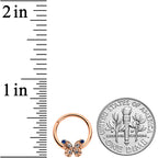 16G 3/8 Blue Gem Rose Gold Tone Butterfly Hinged Segment Ring