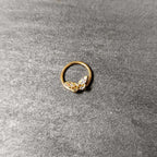 16G 3/8 Orange Gem Gold Hue Baroque Butterfly Hinged Segment Ring
