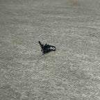 20G 1/4 Clear Gem Black Night Palm Tree Dangle Nose Bone