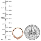 16G 3/8 Aurora CZ Gem Rose Gold Hue Seven Leaf Hinged Segment Ring