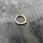 16G 3/8 Aurora CZ Gem Rose Gold Hue Seven Leaf Hinged Segment Ring