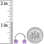 16G 3/8 Purple Ball Flowers Horseshoe Circular Barbell Set of 4