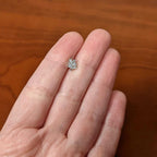16G 1/4 Clear CZ Gem Leafy Branch Threadless Labret Tragus