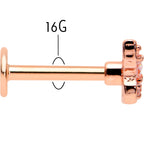 16G 5/16 Clear Gem Rose Gold Tone Opulent Butterfly Labret Tragus