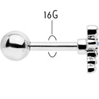 16G 1/4 Aurora Gem Ornate Dragonfly Cartilage Tragus Earring