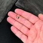 16G 3/8 Gold Tone Holly Hat Penguin Holiday Hinged Segment Ring