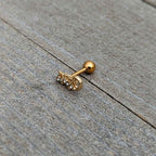 16G 1/4 Clear Gem Gold Tone Luscious Lizard Cartilage Earring