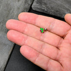 16G 1/4 Ladybug Shamrock St Patricks Cartilage Tragus Earring
