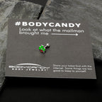 16G 1/4 Ladybug Shamrock St Patricks Cartilage Tragus Earring