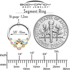 16G 3/8 Aurora Gem Golden Crown Deluxe Hinged Segment Ring