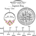 16G 3/8 Pink Gem Golden Crown Deluxe Hinged Segment Ring
