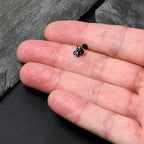 16G 5/16 Black Funky Skunk Labret Monroe Tragus