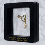 16G 1/4 Clear CZ Gem Gold Tone Heart Moon Dangle Cartilage Earring