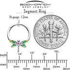 16G 3/8 Dragonfly Color Hinged Segment Ring