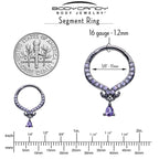 16G 3/8 Purple CZ Gem Black Elegant Curves Dangle Hinged Segment Ring
