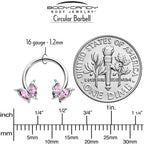 16G 3/8 Pink Gem Fancy Fab Butterfly Horseshoe Circular Barbell
