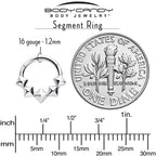 16G 5/16 3D Punk Style Hinged Segment Ring
