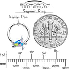16G 3/8 Glitter Turtle Hinged Segment Ring