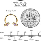16G 3/8 Purple Gem Gold Tone Beauty Bug Horseshoe Circular Barbell